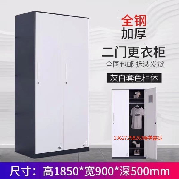 沈陽灰白套色二門更衣柜WM-G519