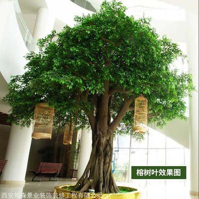 仿真榕樹(shù)廠家 批發(fā)制作各種仿真榕樹(shù) 免費(fèi)仿真樹(shù)設(shè)計(jì)