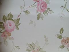 暢銷(xiāo)歐式印花墻紙生產(chǎn)廠家推薦_美蘭壁紙圖片|暢銷(xiāo)歐式印花墻紙生產(chǎn)廠家推薦_美蘭壁紙產(chǎn)品圖片由海口 裝飾工程公司生產(chǎn)提供-